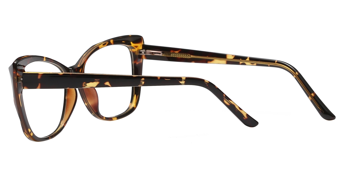 Square Behanna-Tortoise Glasses