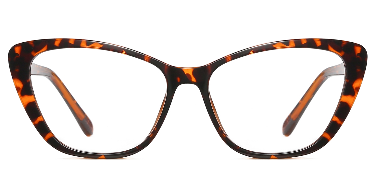 Square Bruce-Tortoise Glasses