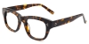 Rectangle Sage-Tortoise Glasses